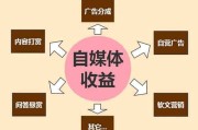 自媒体现状(农村自媒体现状)