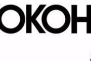 日本横滨轮胎
:yokohama是什么轮胎？