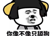 舔狗文案(舔狗文案伤感500字)