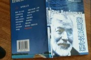 海明威写作特点(海明威的写作特点冰山理论)