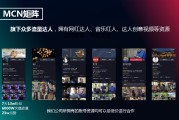 抖音的运营模式(抖音的运营模式是什么)