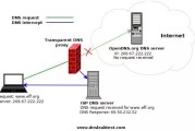 移动dns(移动dns多少)