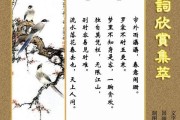 有什么词牌名
:各种词的词牌名和字数有什么规定？