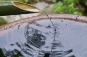 什么是溢价
:溢价是什么意思？溢价是好还是坏？