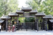 武松打虎在什么地方(武松打虎在什么地方打)