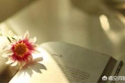 评论怎么写
:一篇成功的批评性评论要如何去写？