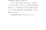 我的妈妈写作文(我的妈妈写作文20字)