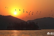 武汉属于哪个省份
:湖北武汉，论城市地位，在国内是怎样的位置？