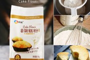 低粉(低粉可以用面粉代替吗)