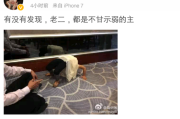 为什么微博上有许多污的(微博刚注册为什么有许多关注)