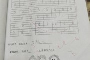 写作业拼音怎么写(姐姐写作业的拼音怎么写)