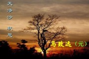 天净沙秋思写作背景(天净沙秋思写作背景是什么)