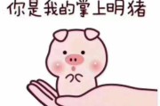 小心眼什么意思
:为什么有时候我小心眼？