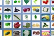 蔬菜种类大全
:蔬菜名称大全？