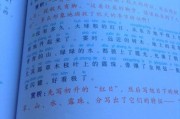 景物描写作用(韭菜饺父母心第六段景物描写作用)