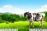 圣牧有机奶质量怎么样
:圣牧牛奶怎么样？
