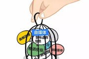 自媒体和多媒体(自媒体和多媒体,新媒体的区别)