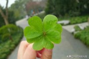 网络广告的发布
:怎么在网上做广告？
