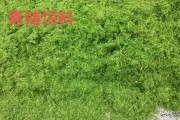 发财致富种植
:今年由于疫情，在家里种植什么最容易让农民发家致富？