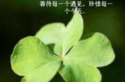 积极向上文案(积极向上文案短句)