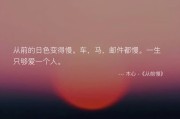 绝美文案(世界名著里的绝美文案)