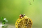 夏至文案(夏至文案简短)