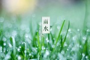 雨水节气海报
:雨水这个节气有什么习俗？