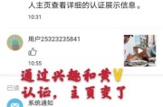 如何申请黄v个人认证(b站如何申请个人认证)