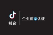 抖音黄v蓝v红v是什么意思(抖音黄v蓝v红v是什么意思)