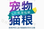 宠物文案(感人宠物文案)