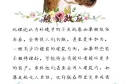 破窗效应是什么意思
:破窗效应在教育活动中有什么借鉴意义？
