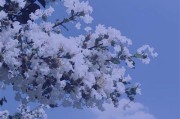 拍照文案(闺蜜拍照文案)