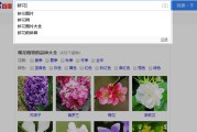 刷相关搜索(关键词搜索)