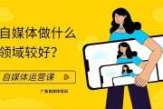 自媒体冷门领域(目前自媒体行业现状)