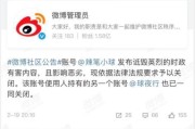 微博黄v的功能(微博没有投票功能)