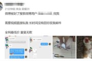 微博小号1元5个(诚信微博小号商城)