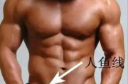 人鱼线是什么
:人鱼线、马甲线、AB线分别是什么？怎么练？