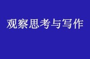 写作手法有哪些(写作手法有哪些种类)