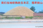变废为宝创业项目
:今年玉米芯生意好做吗，想返乡创业做玉米芯生意？
