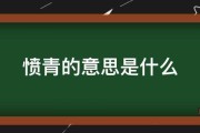 愤青的意思(愤青的意思是愤世忌俗吗)