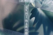 绿植文案(绿植文案朋友圈)