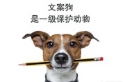 文案发烧
:文案能分多少种？比如：产品文案、品牌文案？