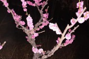 女为悦己者容的意思
:女为悦己者容这句话有道理吗？