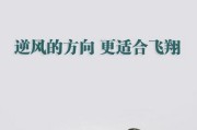 创业好商机
:一个离异女人，带两个孩子，想创业，有什么好的商机？