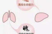 人生若只如初见意思
:“人生若只如初见”，是怎样的心境？