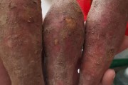 微波炉可以烤红薯吗
:微波炉能做地瓜条吗？怎么做？