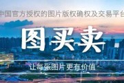 版号是什么(报纸版号是什么)