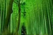 说女人务实是什么意思
:女生跟你说“你太老实”，是什么意思？
