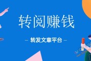 网络赚钱平台(赚钱的平台)