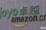 卓越会
:雷军当年为什么卖掉卓越网？如果不卖掉能做成另外一家京东吗？